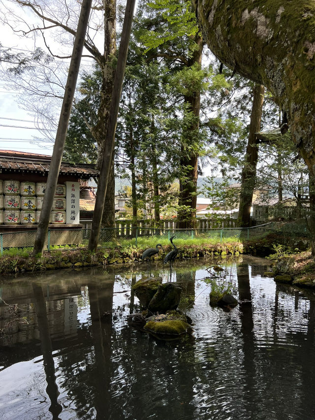 【長野】全国2.5万社以上ある諏訪神社の総本社でパワーチャージ!!