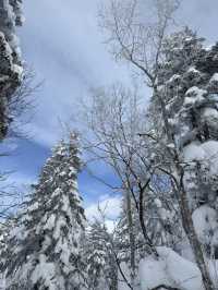สัมผัสหิมะฟูๆ ที่ Shinhotaka Ropeway ❄️