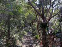 Booti Booti Hill Hiking Trail
