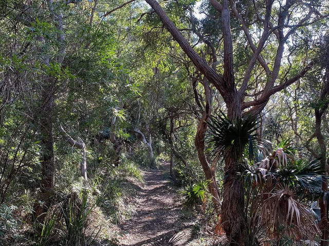 Booti Booti Hill Hiking Trail