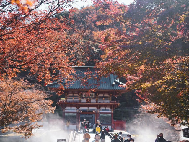🍁 秋色に染まる大阪・勝尾寺で勝運祈願を！！