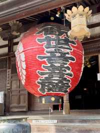 【京都・長岡京市】🍃 柳谷観音 楊谷寺 で心洗われる冬のひととき✨