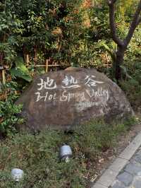 Beitou Thermal Valley: Stunning Views and Unique Hot Spring Delights