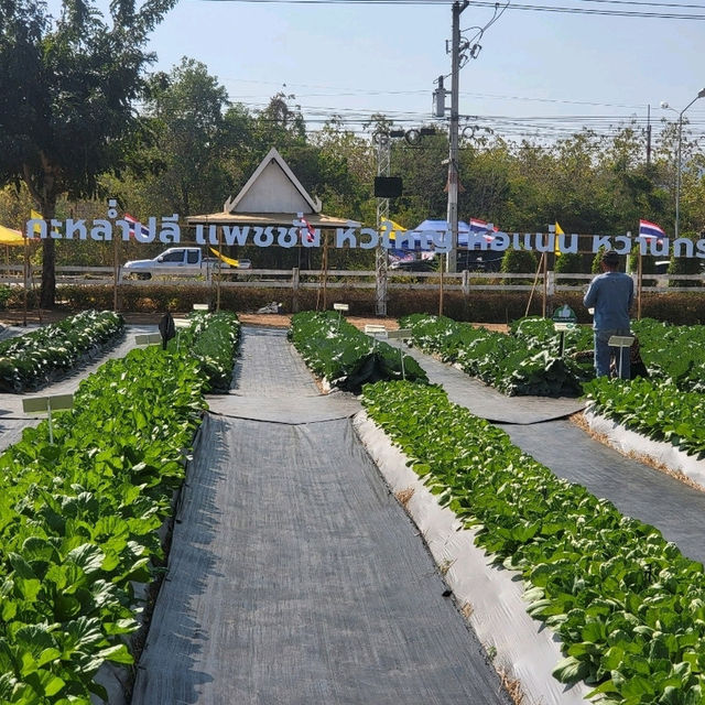 เจียไต๋แฟร์ 2025