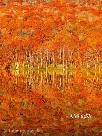 蔦沼の紅葉、撮影のベストタイミングは日の出から約30分間