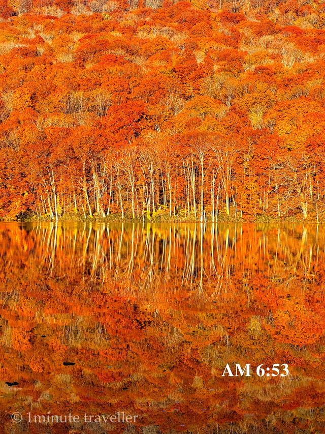 蔦沼の紅葉、撮影のベストタイミングは日の出から約30分間