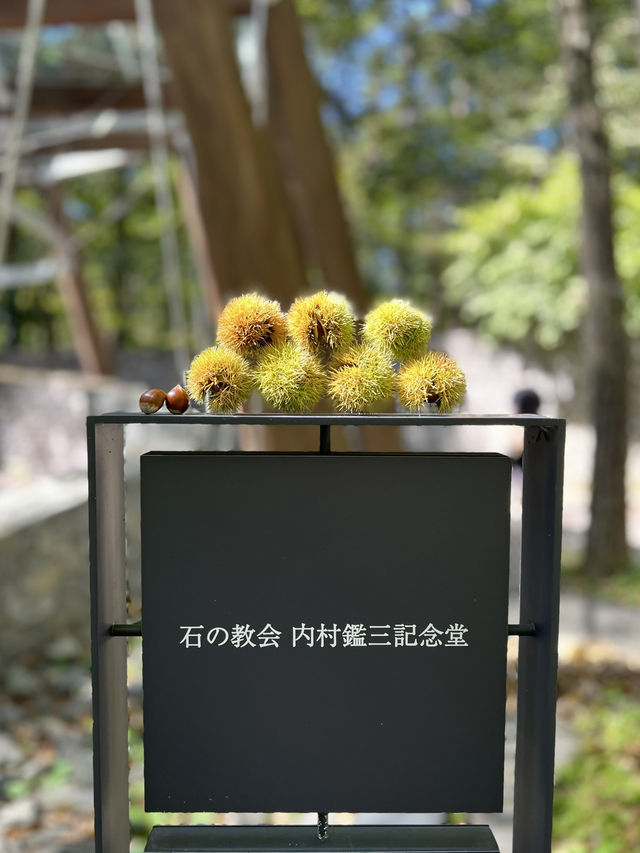 【軽井沢】石で作られた教会⛪️