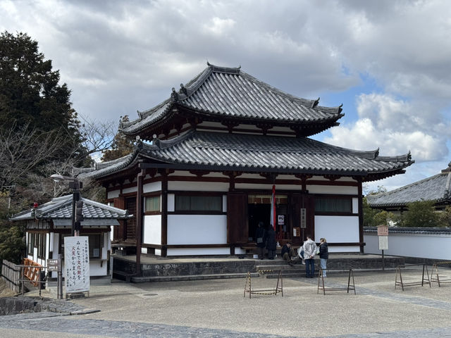 🕊️東大寺：千年古寺的莊嚴與感動🕊️