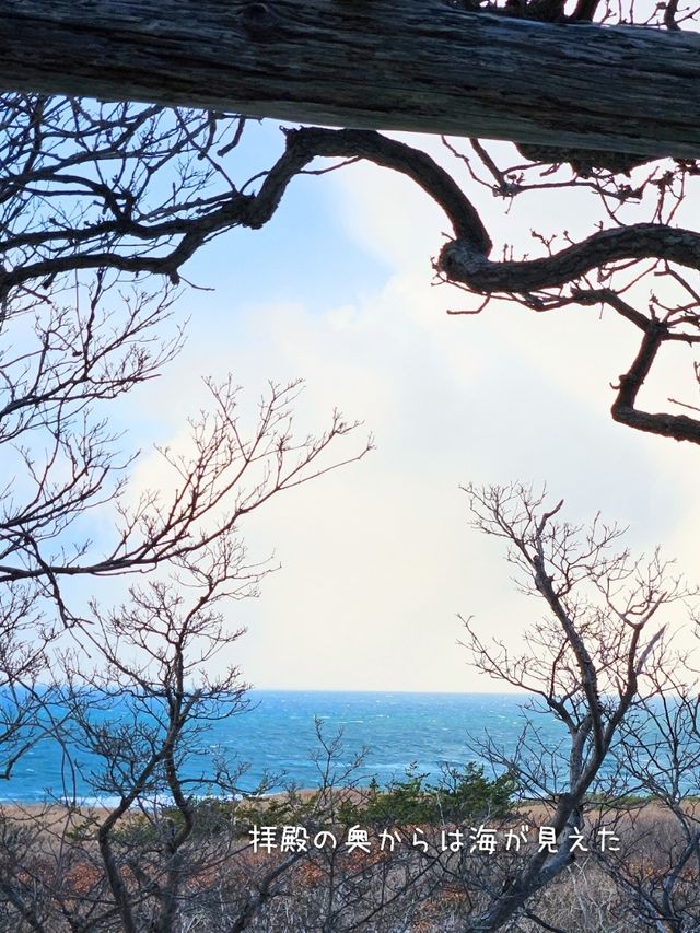 【青森／つがる市】雪の千本鳥居「髙山稲荷神社」⁡
