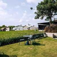 BLACKROCK RESERVE