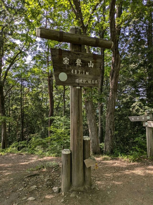 【埼玉】宝登山〜自然と歴史を楽しむハイキング〜