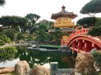 A tranquil oasis in the city