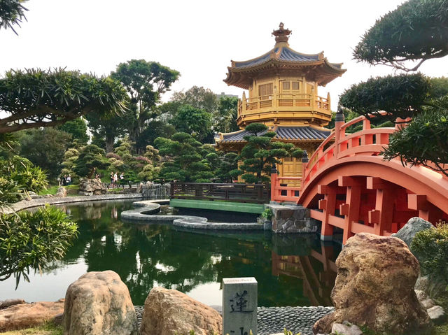 A tranquil oasis in the city