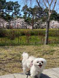 봄에 떠나는 부산시민공원🌳❤️