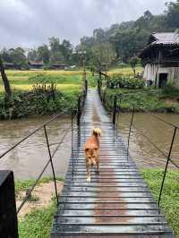 หมู่บ้านแม่กลางหลวง