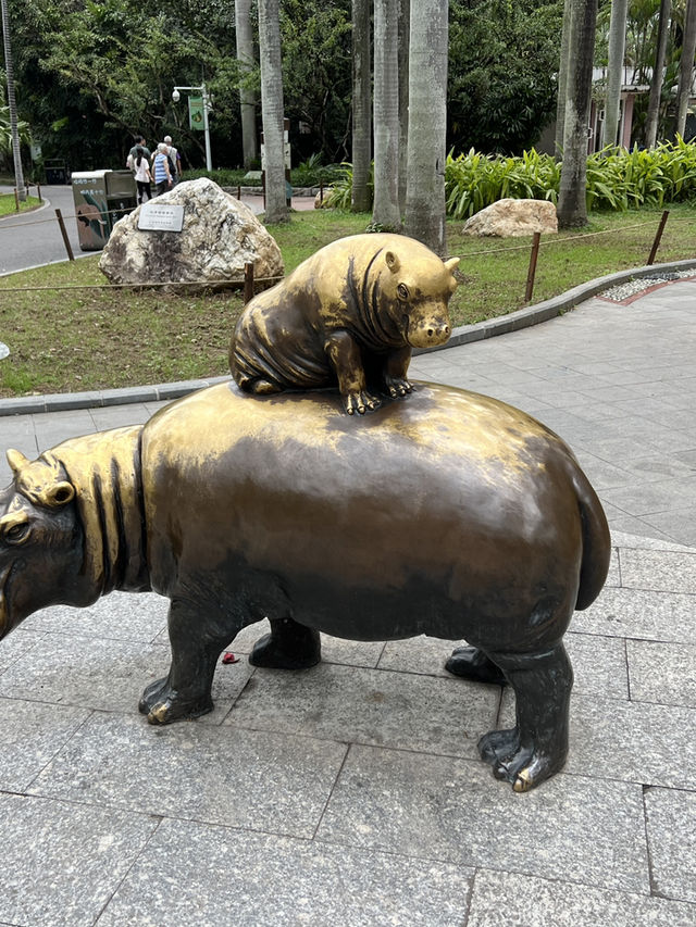 廣州親子遊行程大公開🙈飲茶🫖推介🥰必去市內動物園🥰好食下午茶