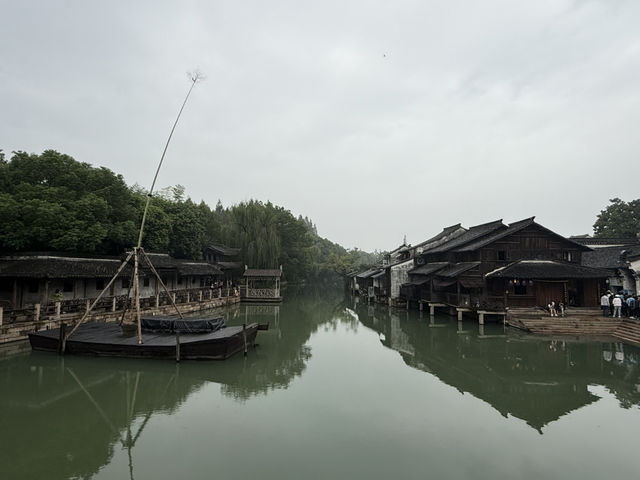 Drizzling Wuzhen at its upmost beauty