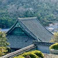 Sakoshi town will definitely blow your mind
