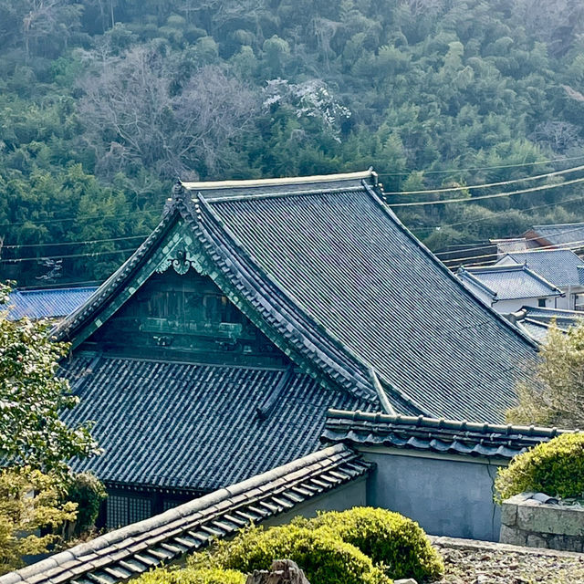 Sakoshi town will definitely blow your mind