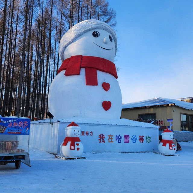 Thrills & Chills: Yabuli Ski Resort Adventure 🏔️❄️🛷