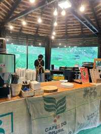 ☕️ TWF Coffee Camp จ.เชียงใหม่