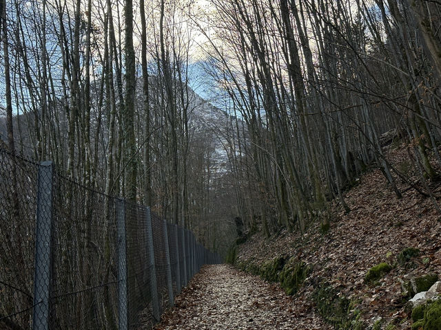 Escape to Hallstatt: A Perfect Day Trip from Salzburg
