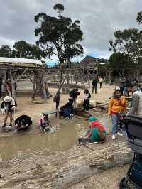 Day Trip to Ballarat & Sovereign Hill - A Step Back In Time!