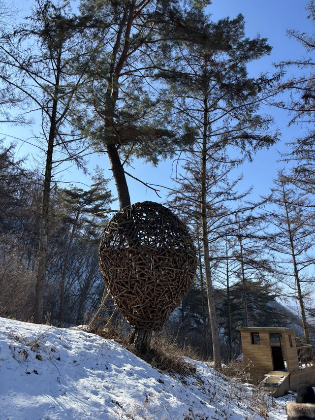 춘천의 알프스 같은 멋진 풍경의 목장😍