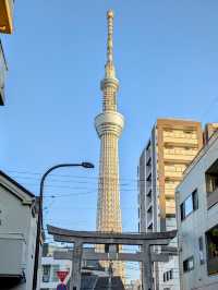 【東京】