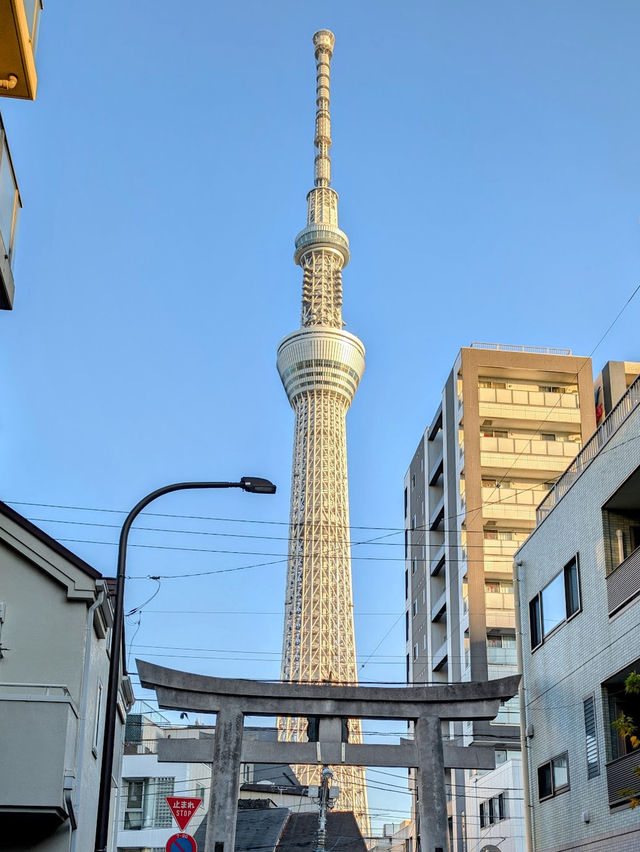 【東京】
