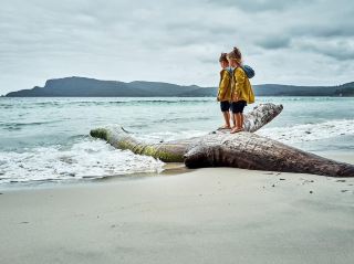 Bruny Island