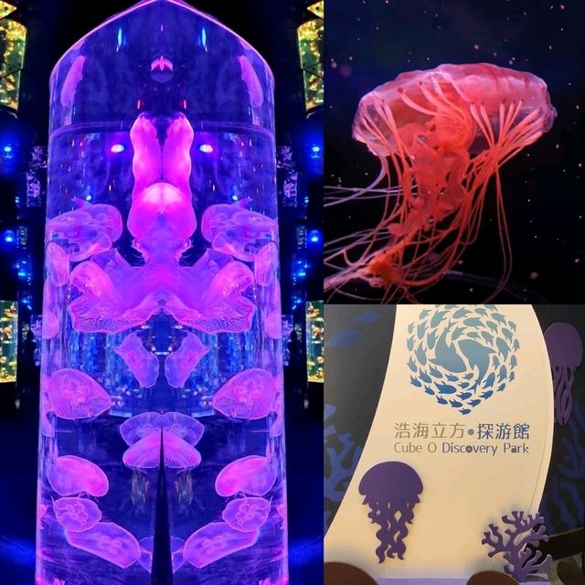 情侶好去處