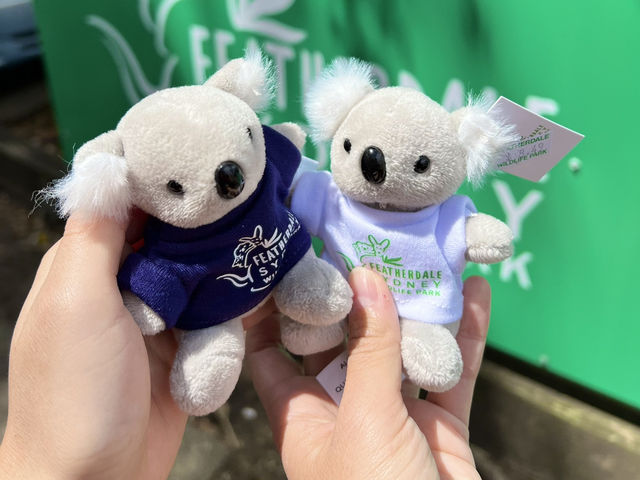 【オーストラリア】コアラと写真を撮ろう🐨