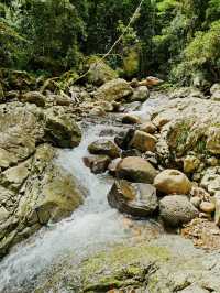 Journey Through Nature’s Wonderland: Warrie Circuit Adventure 🌿🌿