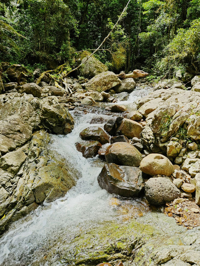 Journey Through Nature’s Wonderland: Warrie Circuit Adventure 🌿🌿