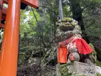 京都　伏見稲荷大社　伏見稲荷山