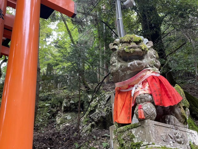 京都　伏見稲荷大社　伏見稲荷山