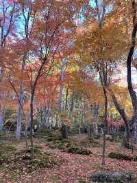A Sanctuary for the Heartbroken Souls  — The Gio-ji Temple in Arashiyama