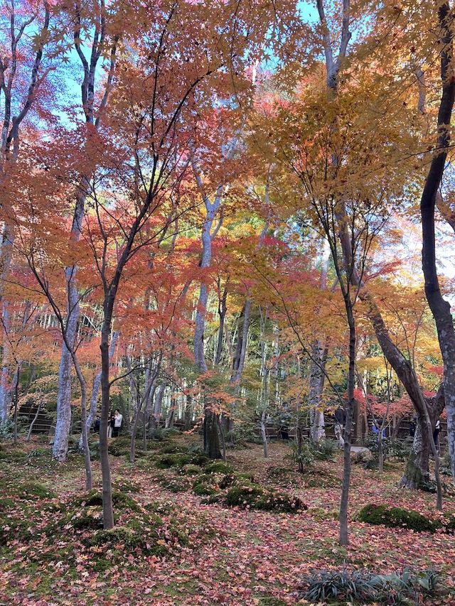 A Sanctuary for the Heartbroken Souls  — The Gio-ji Temple in Arashiyama
