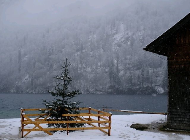 🇩🇪德國之最國王湖-kongssee🇩🇪