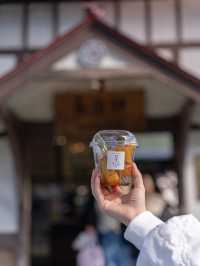 【埼玉県/長瀞】予算¥3,000で過ごす長瀞女子旅