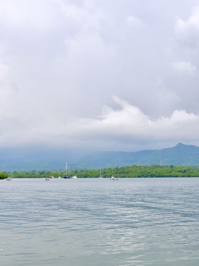 Menjangan Island; Bali’s Secret Dive Site