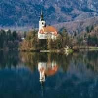 Bled Island