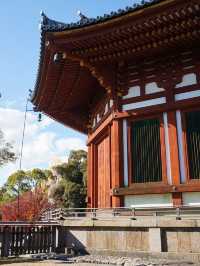 大阪行程｜周邊一日遊｜興福寺與東大寺