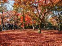 วัดโทฟุคุจิ (Tofukuji Temple)