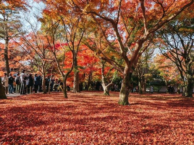 วัดโทฟุคุจิ (Tofukuji Temple)
