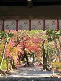 紅葉が美しいおすすめスポット