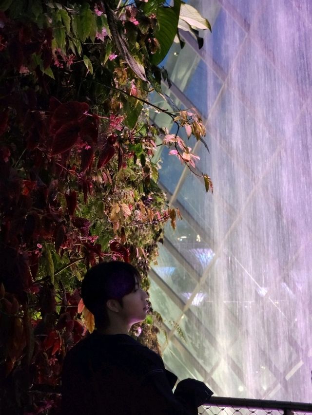 📍Cloud Forest