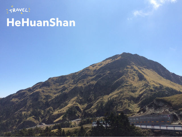 🏔️🌳สัมผัสความยิ่งใหญ่ของธรรมชาติที่ Hehuanshan