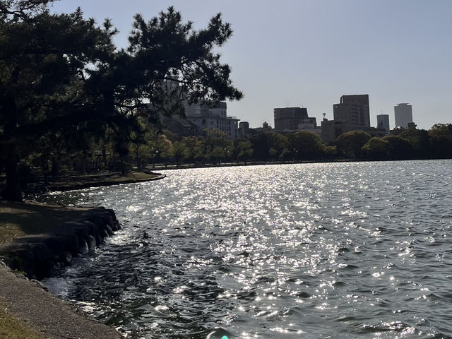 福岡春天漫步散策：⛩️福岡護國神社 + 🌳大濠公園日本庭園
